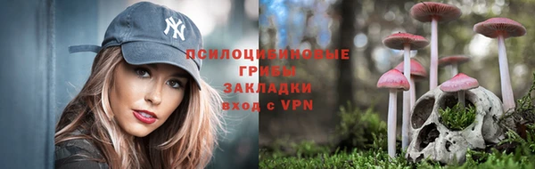 кокаин VHQ Каменногорск