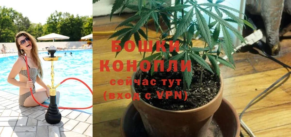 героин Каменка
